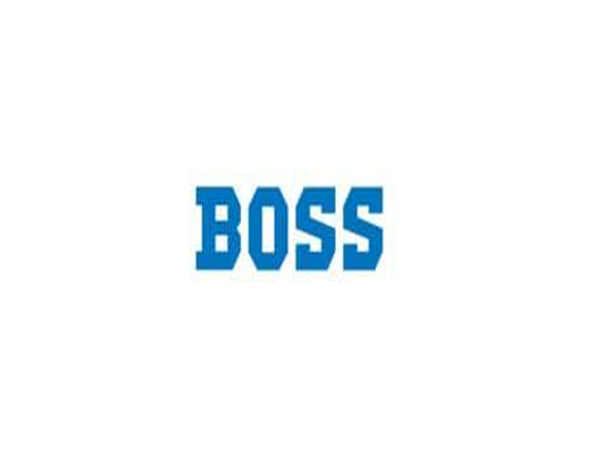 boss